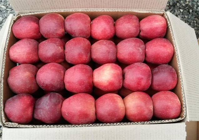 Джонатан Яблоки Фото